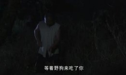 章叔爆料视频完整版,事件真相与幕后黑幕大起底