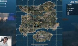 绝地求生老王爆料视频在线观看,揭秘游戏幕后真相与精彩瞬间